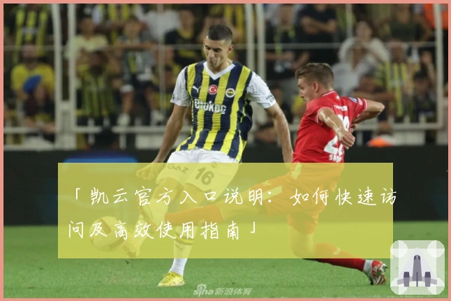 「凯云官方入口说明：如何快速访问及高效使用指南」