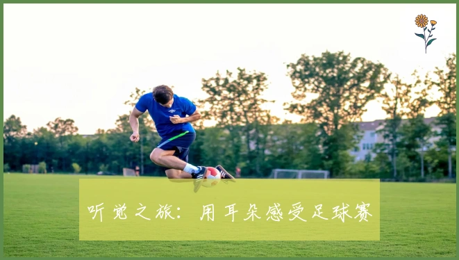 听觉之旅：用耳朵感受足球赛