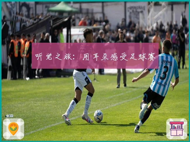 听觉之旅：用耳朵感受足球赛